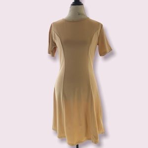 NWT Beige Skater Structured Dress